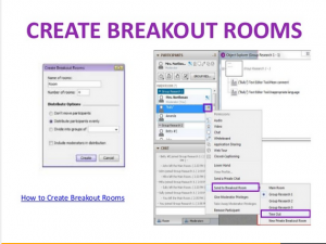 Break Out Rooms